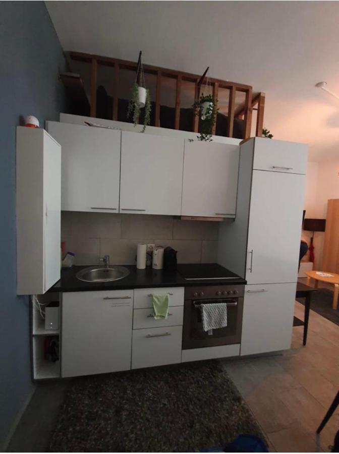 Modern Studio With Mezzanine Le Mont-Sur-Lausanne Extérieur photo